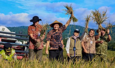 Panen Raya Serentak di 35 Daerah, Jateng Bidik 3,35 Juta Ton GKG Awal 2026