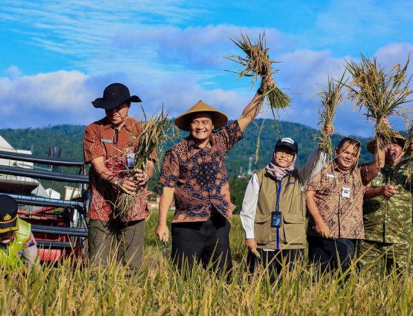 Panen Raya Serentak di 35 Daerah, Jateng Bidik 3,35 Juta Ton GKG Awal 2026